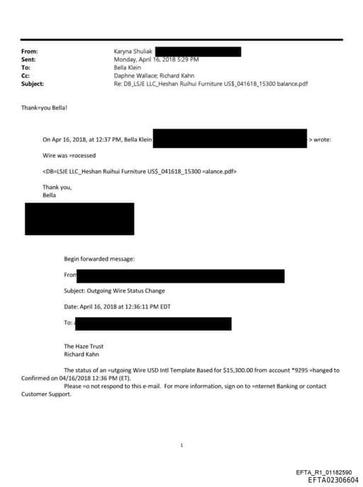 Preview of EFTA02306604