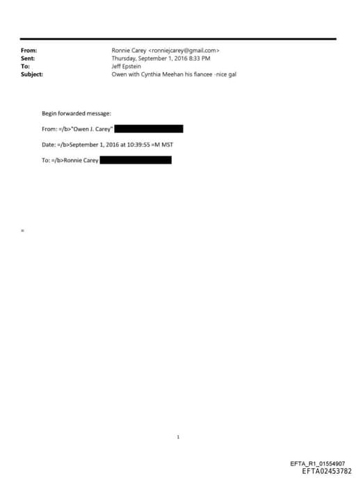 Preview of EFTA02453782