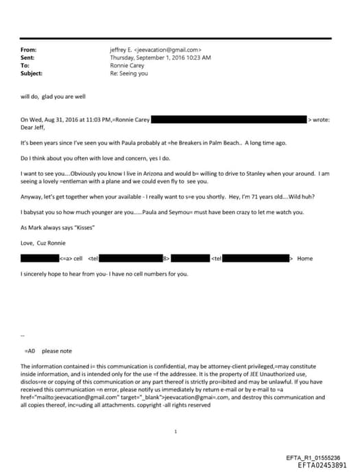 Preview of EFTA02453891