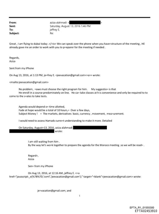 Preview of EFTA02453910