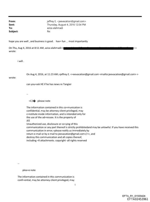 Preview of EFTA02453961