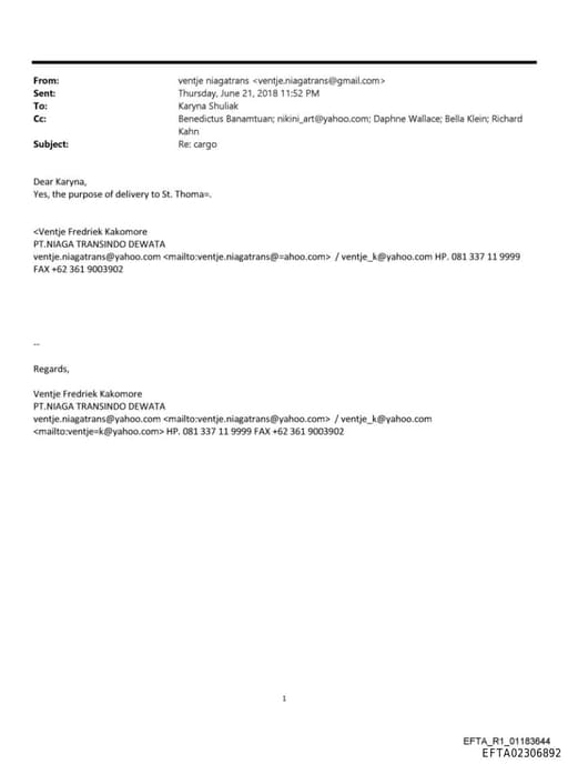 Preview of EFTA02306892