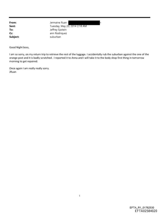 Preview of EFTA02584020