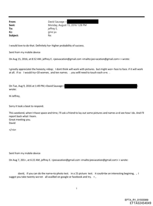 Preview of EFTA02454049