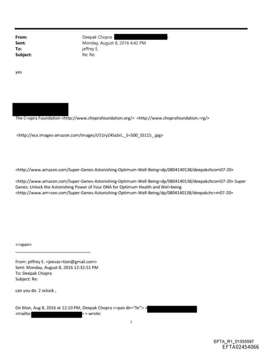 Preview of EFTA02454066