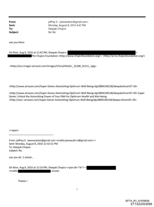 Preview of EFTA02454096