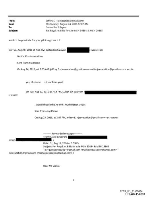 Preview of EFTA02454091