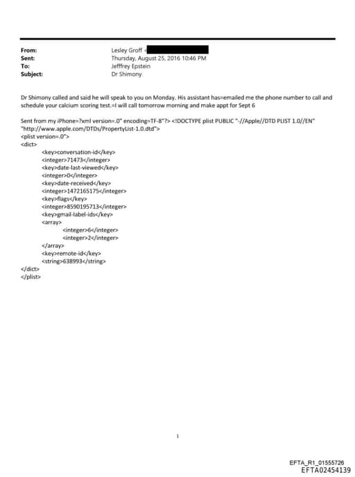 Preview of EFTA02454139