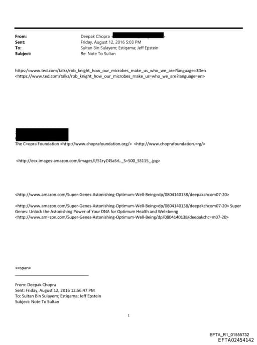 Preview of EFTA02454142