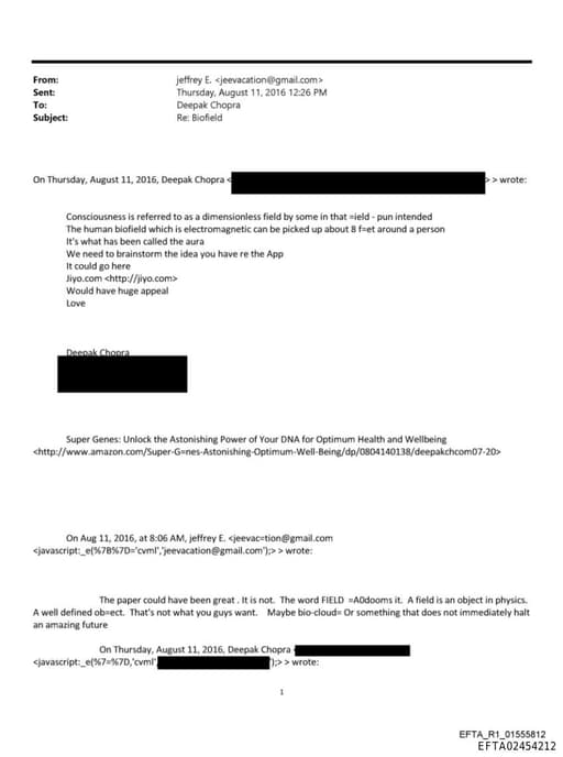 Preview of EFTA02454212