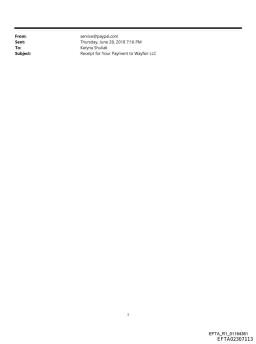 Preview of EFTA02307113