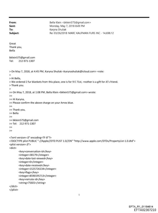 Preview of EFTA02307210