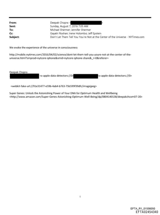 Preview of EFTA02454340