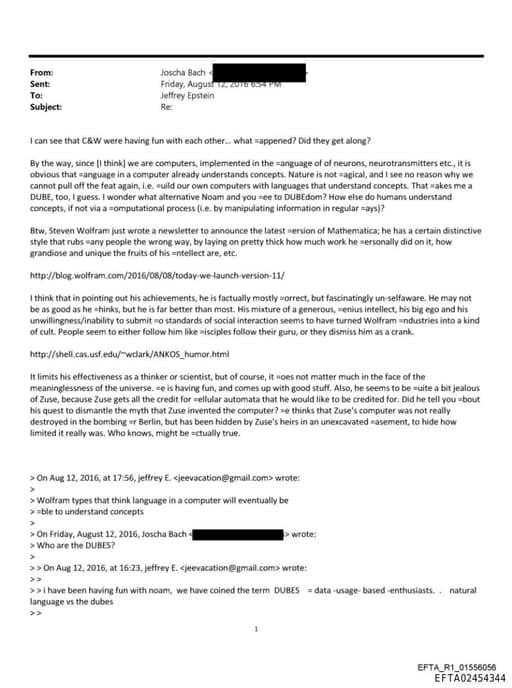 Preview of EFTA02454344