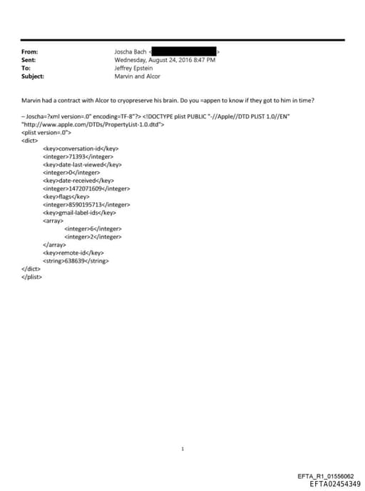 Preview of EFTA02454349