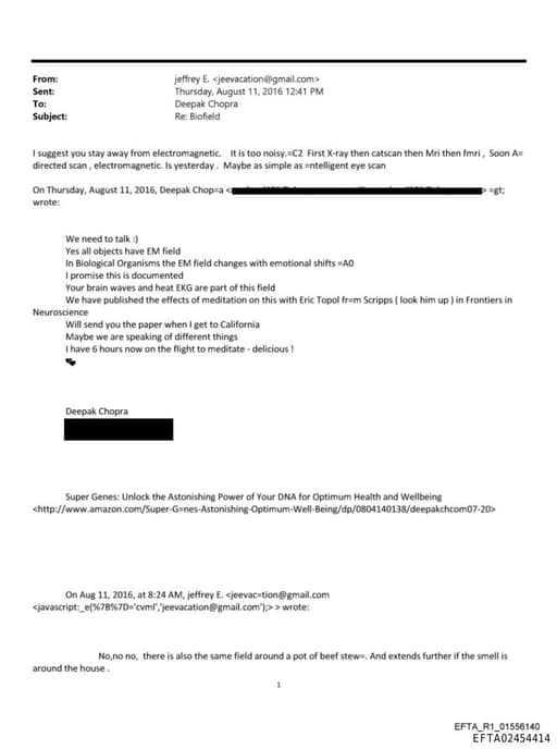 Preview of EFTA02454414