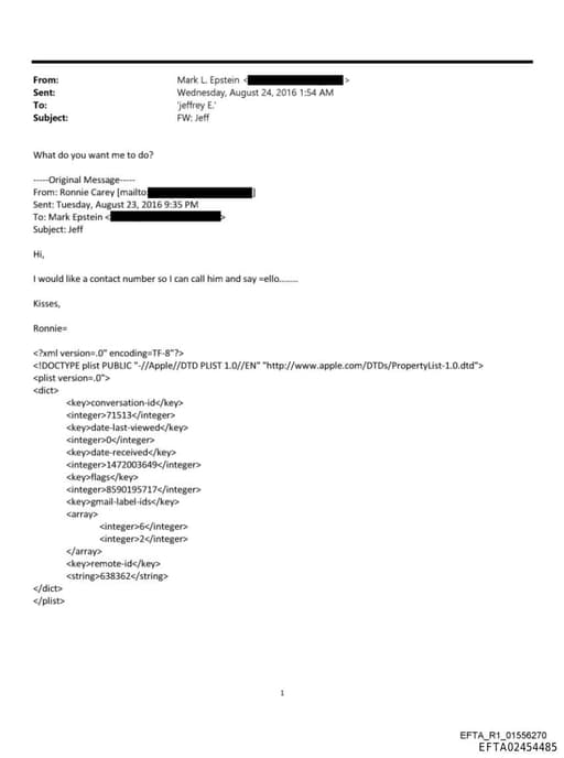 Preview of EFTA02454485