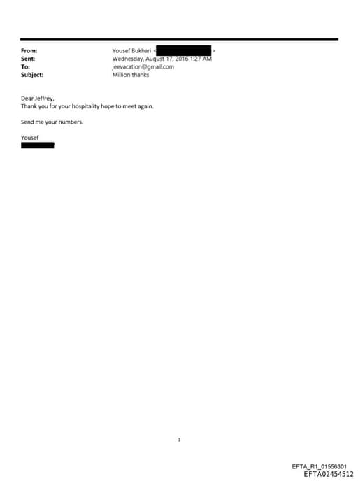 Preview of EFTA02454512