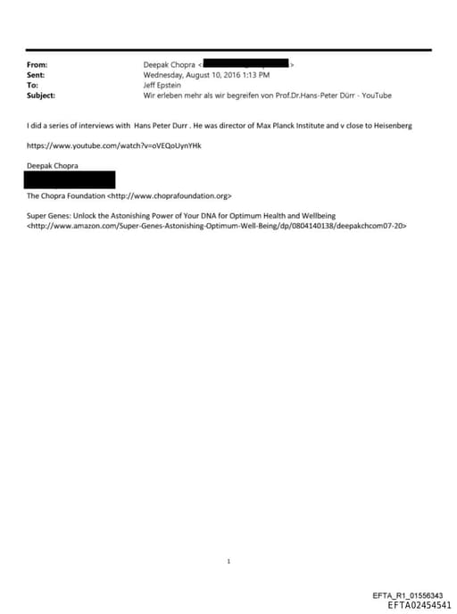 Preview of EFTA02454541