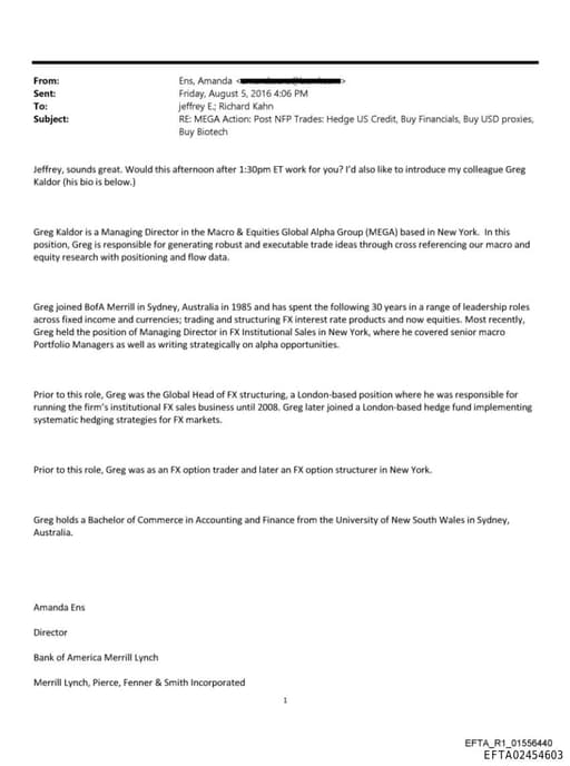 Preview of EFTA02454603