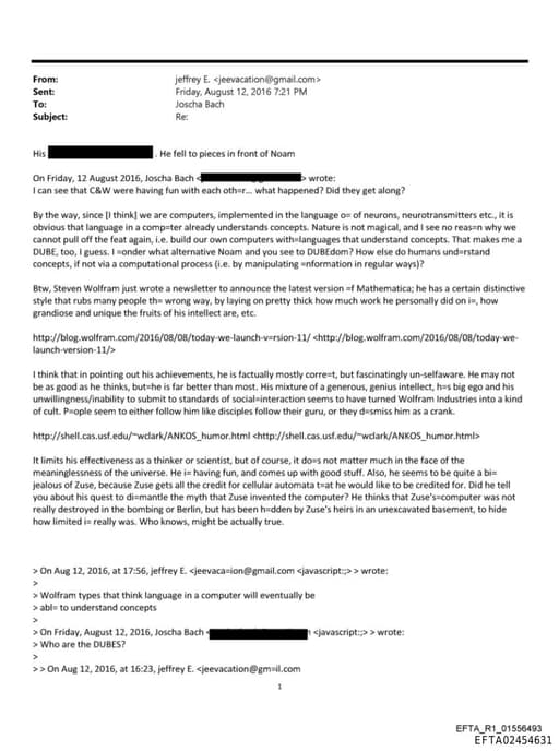 Preview of EFTA02454631