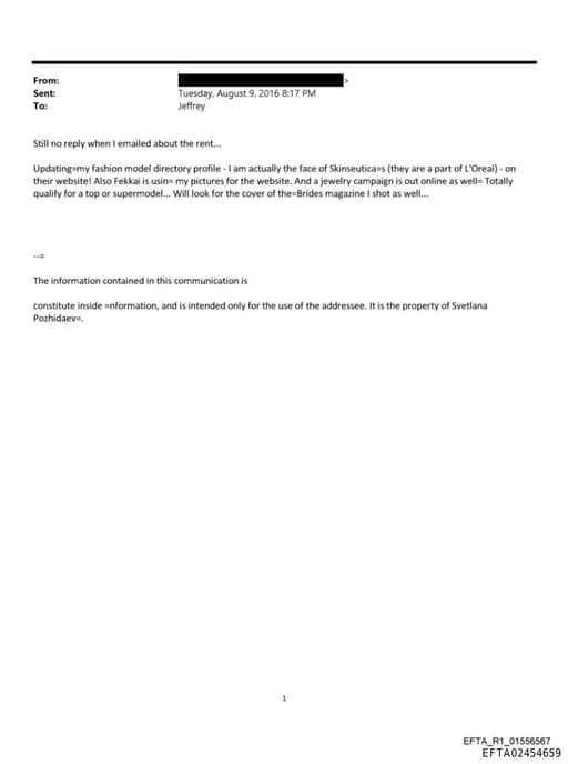 Preview of EFTA02454659