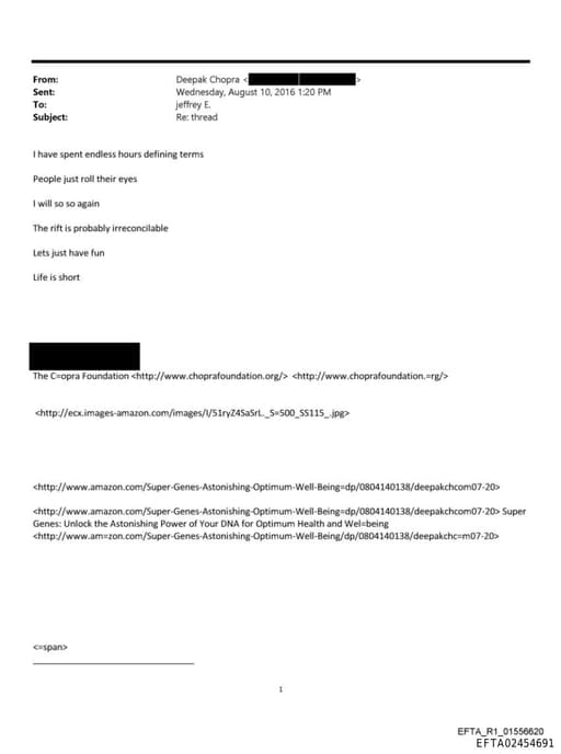 Preview of EFTA02454691