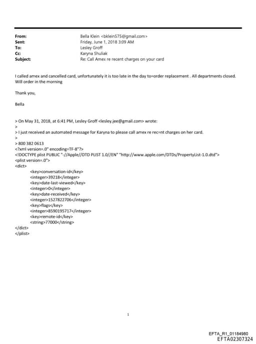 Preview of EFTA02307324