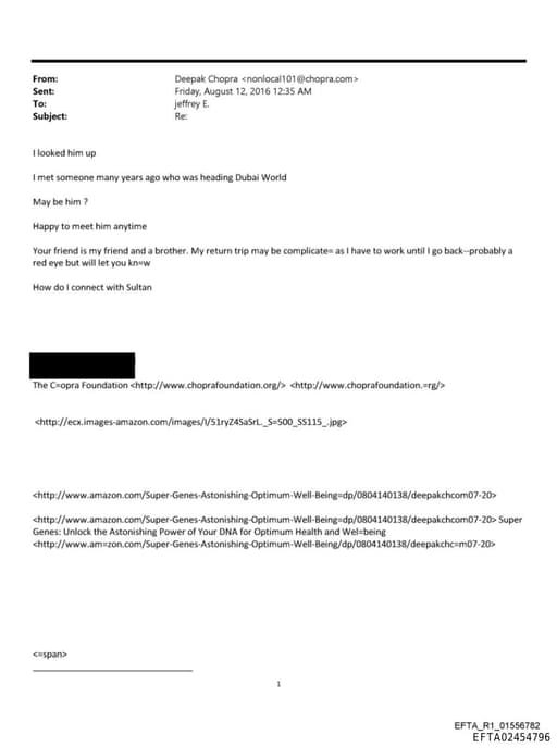 Preview of EFTA02454796