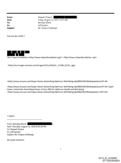 Preview of EFTA02454824