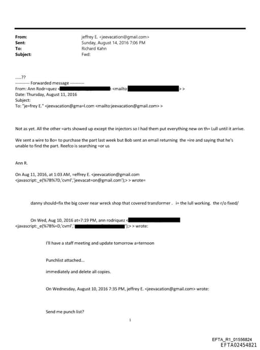 Preview of EFTA02454821