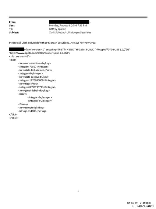 Preview of EFTA02454850