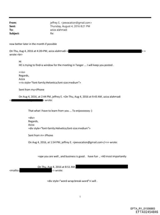 Preview of EFTA02454846