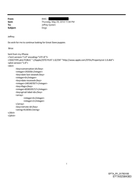 Preview of EFTA02584383