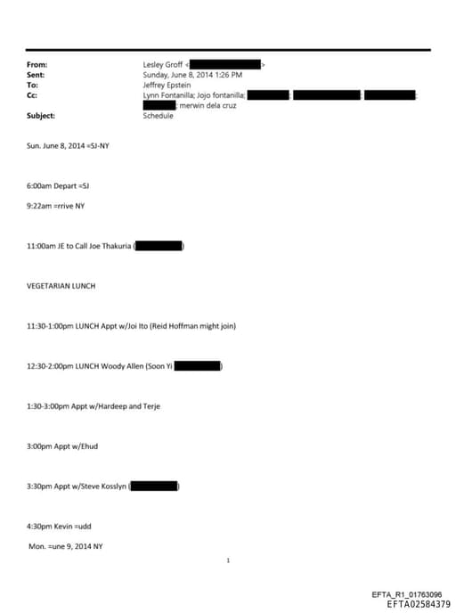 Preview of EFTA02584379