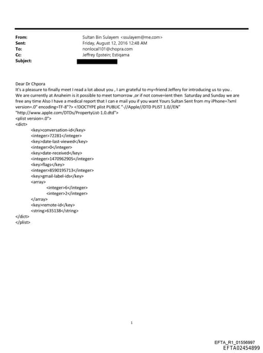 Preview of EFTA02454899