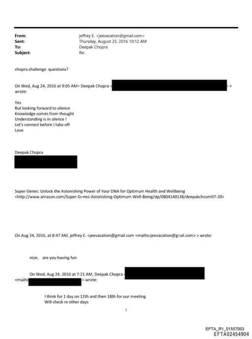 Preview of EFTA02454904