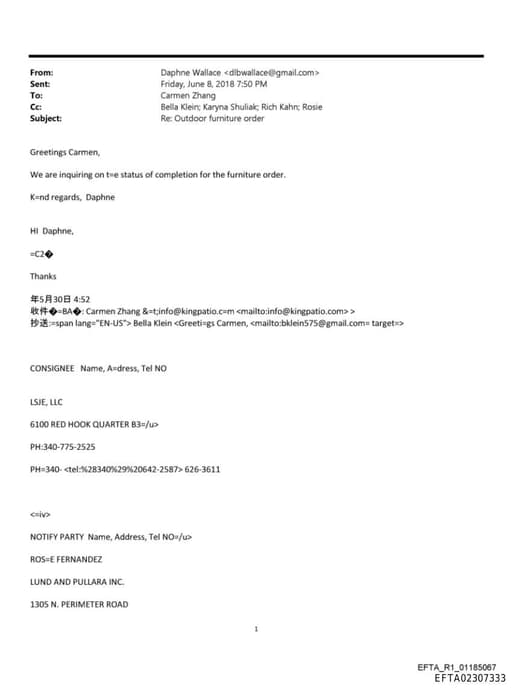 Preview of EFTA02307333