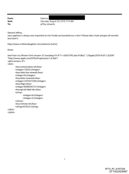 Preview of EFTA02454997