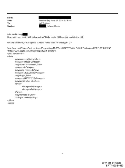 Preview of EFTA02584633