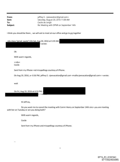 Preview of EFTA02455095