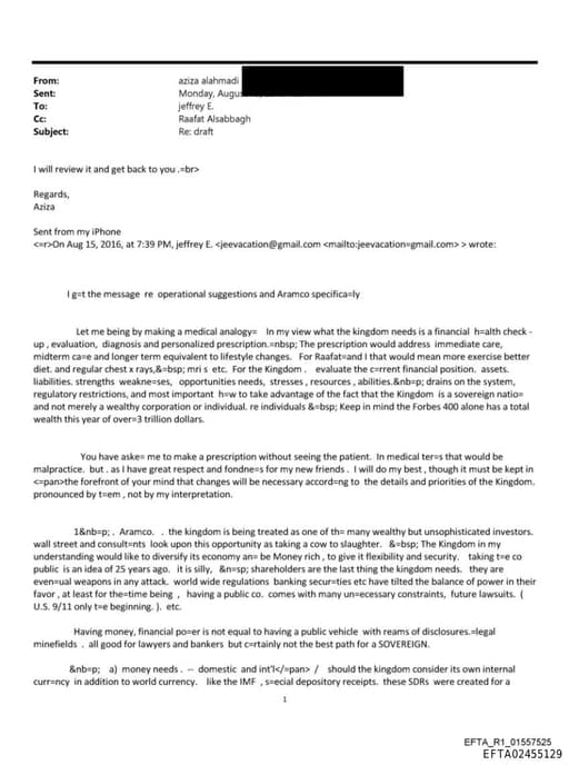 Preview of EFTA02455129