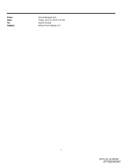 Preview of EFTA02307607