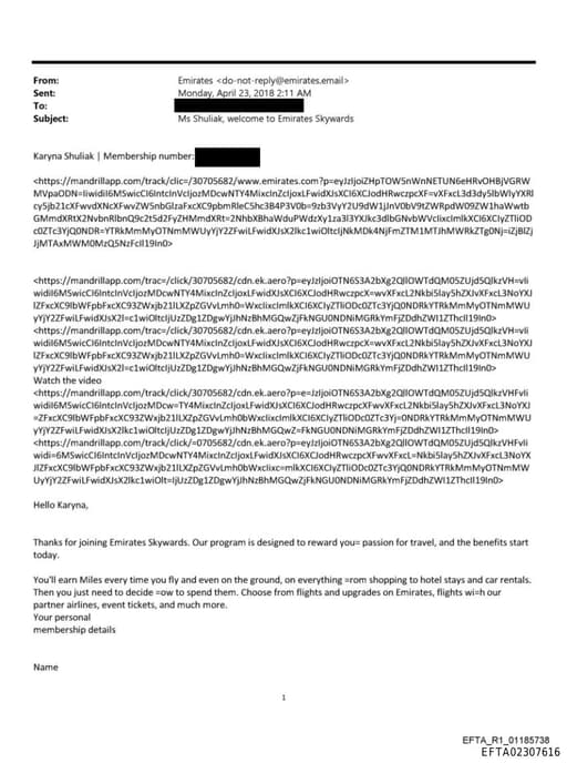 Preview of EFTA02307616