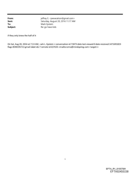 Preview of EFTA02455158