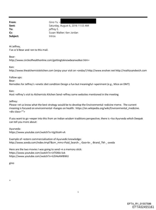 Preview of EFTA02455161