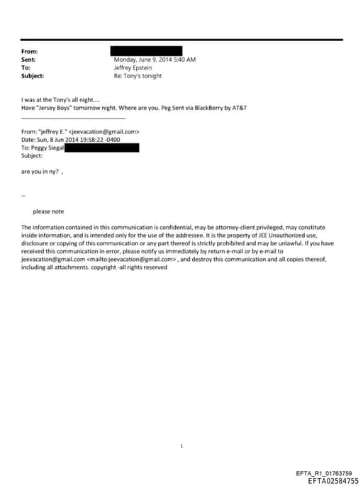 Preview of EFTA02584755