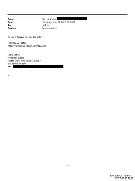 Preview of EFTA02308025