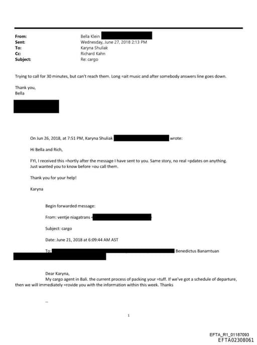 Preview of EFTA02308061