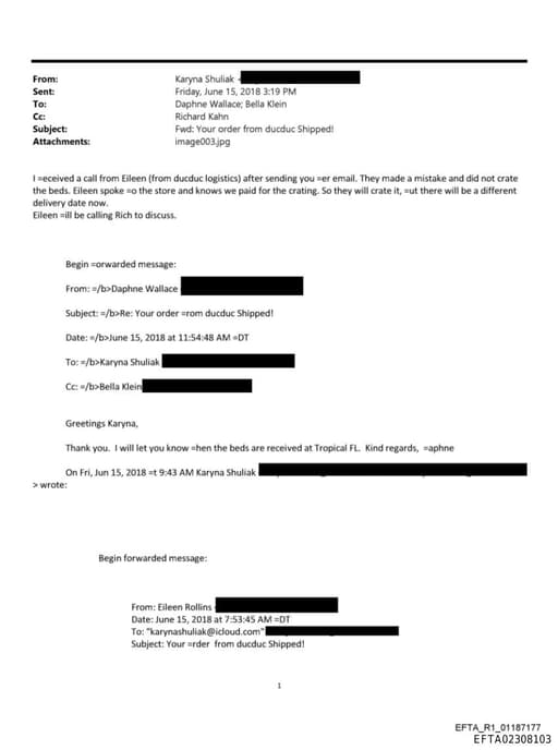 Preview of EFTA02308103